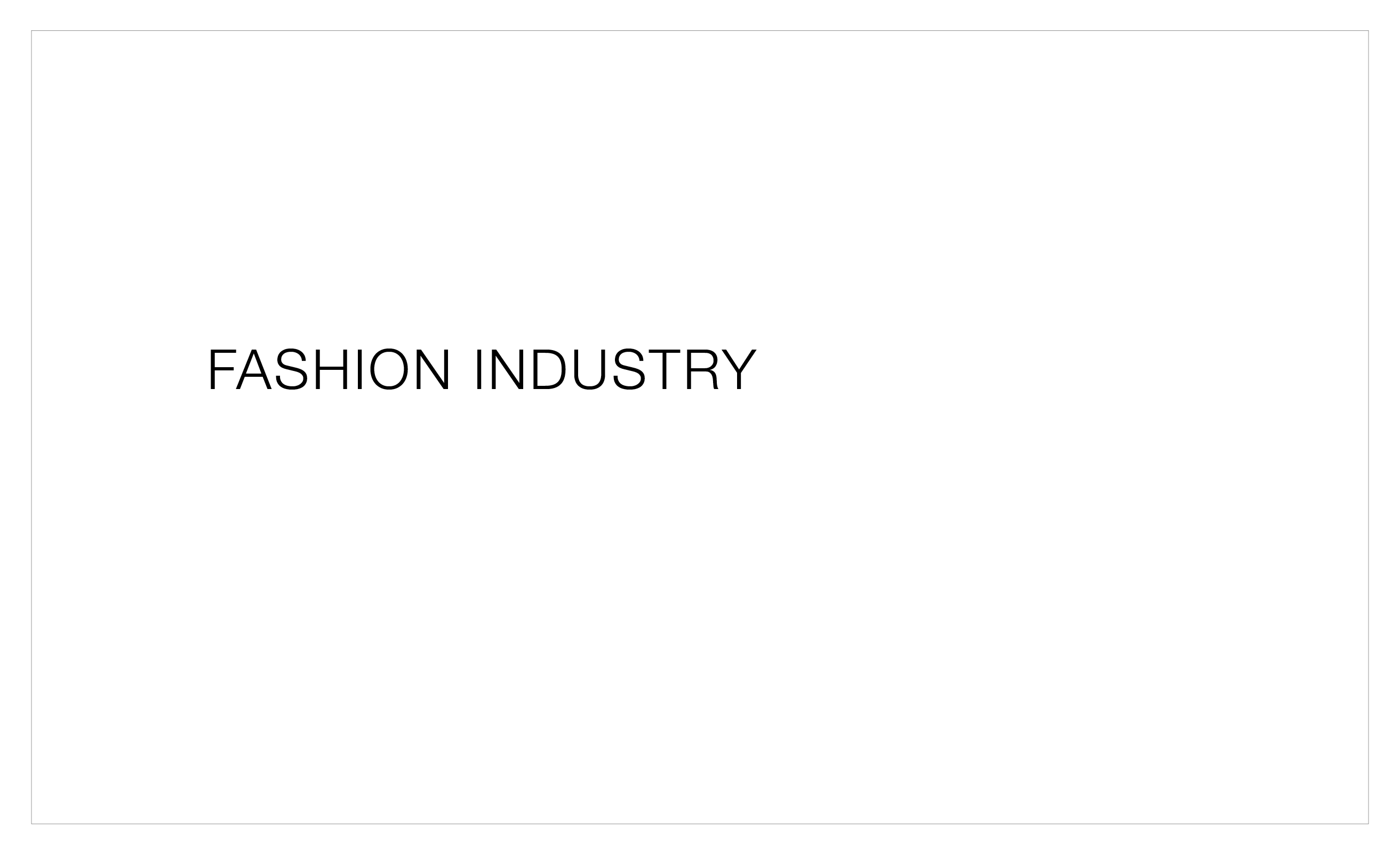 FASHION INDUSTRY